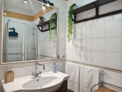 Apartmento Jara San Basilio