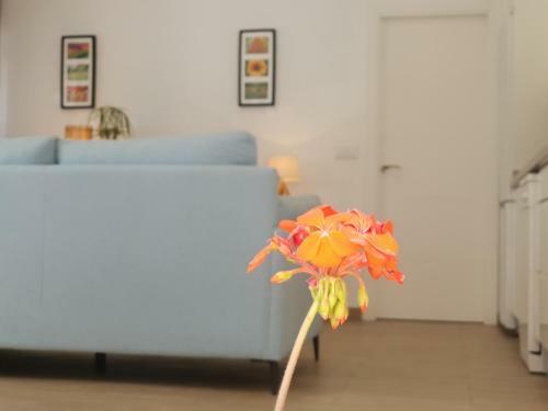 Tu Mejor Recuerdo, Apartamento.