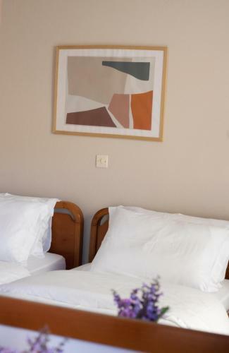 Apartamento Pomelo Rooms