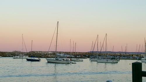 Apartamento Vue Sur Mer Exceptionnelle