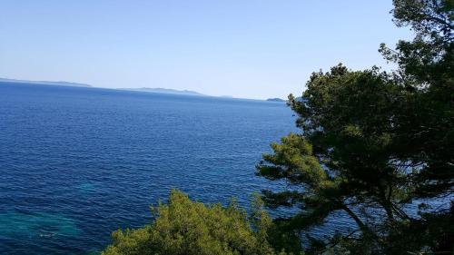 Apartamento Vue Sur Mer Exceptionnelle