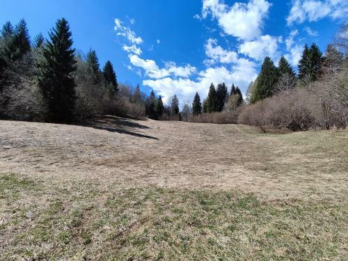 Apartamento La Casetta In Montagna