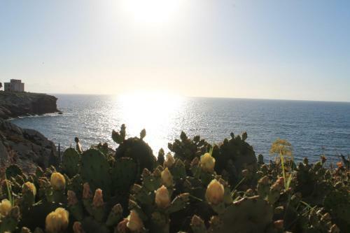 Terrasini Casa Maltese