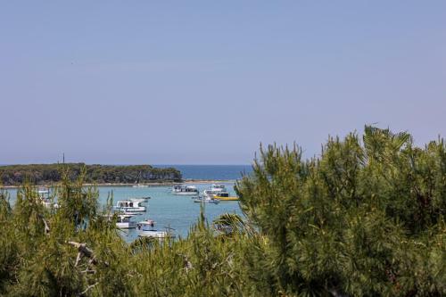Salento Sea & Sun Apartment