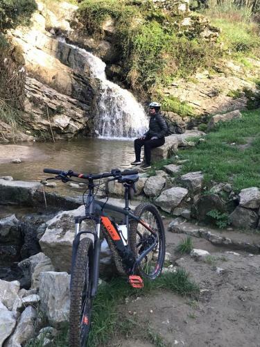 Bedebike