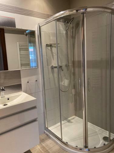 Apartament Caminski D?bowa