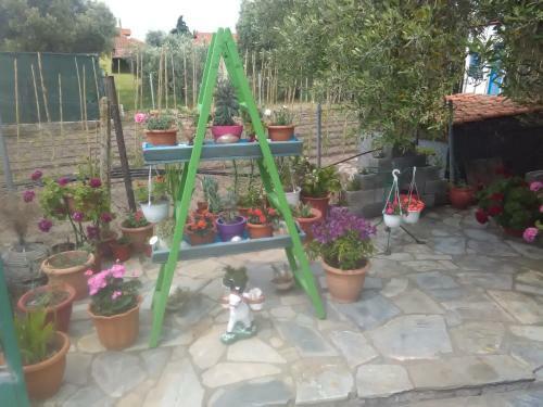 Apartamento Housebutterfly