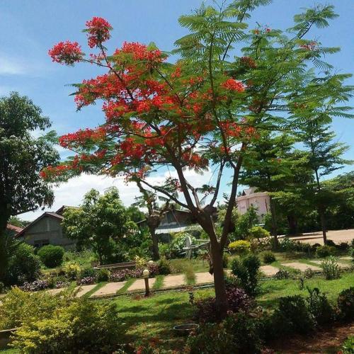 Hostal Xuan Mai Guesthouse