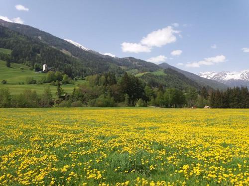 Hostal G�steheim P�tscher