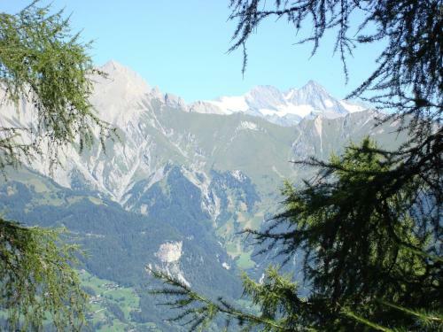 Hostal Ferienwohnungen P�tscher