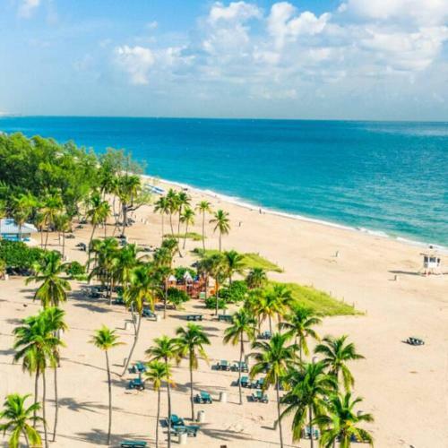 Casa Azul Close To Beach/wilton Manors/parking/pet