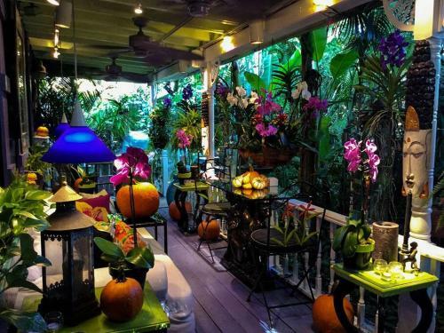 Apartamento Luxe, Key West Vibe, With Bikes, Nespresso &alexa