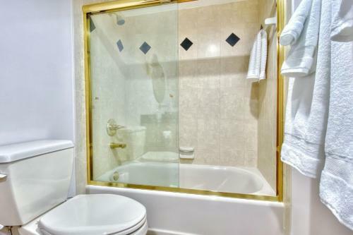 Lighthouse Pointe 502