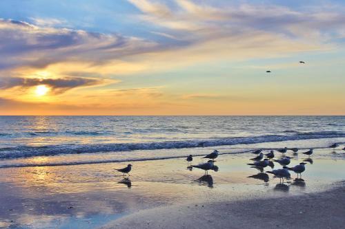 Beach Cottage 1304