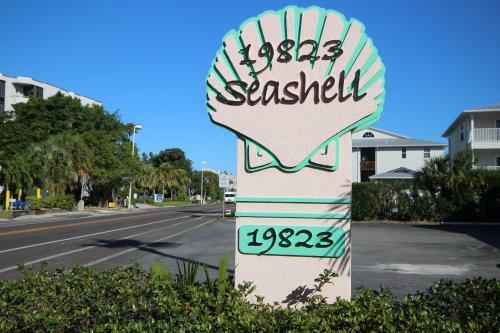 Seashell 6