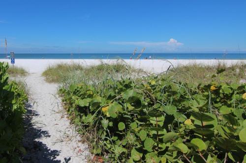 Belleair Beach Club 112