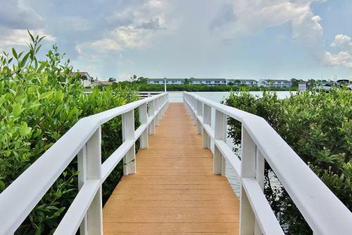 Water View 504