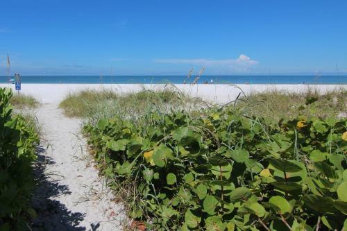 Belleair Beach Club 114