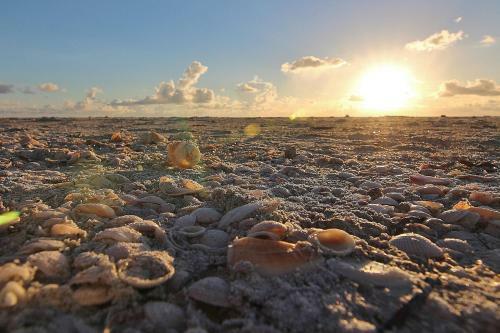 Belleair Beach Club 114