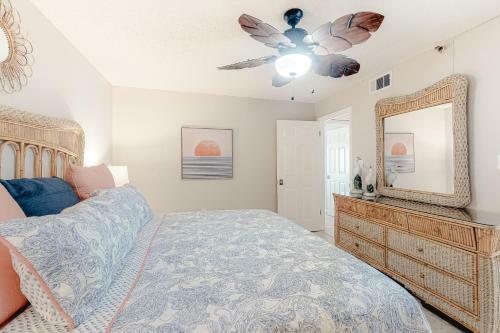 Sand Dollar 101