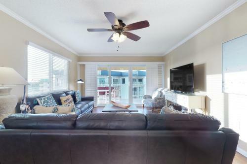 Sand Dollar 501