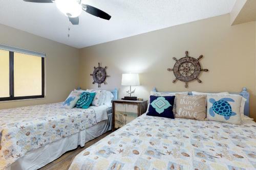 Sand Dollar 501