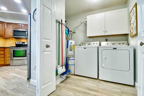 Beach Palms 508