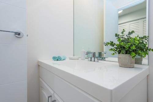 Apartamento Ocean Front Alexander Towers # 1503