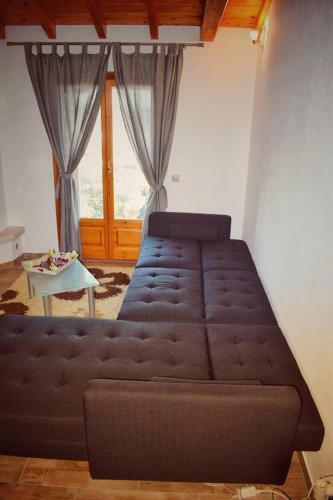 Apartamento Araucaria House