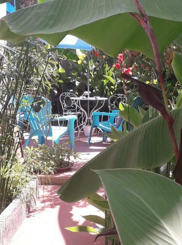 Vacances Cocoon, Les Bananiers