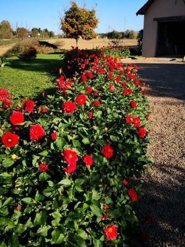 Bed & Breakfast La Ferme De La Terve