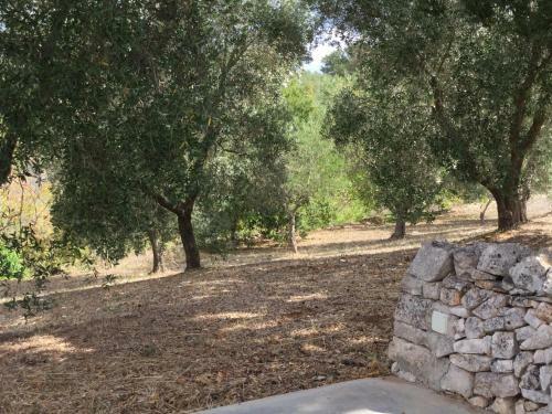 Trullo San Rocco