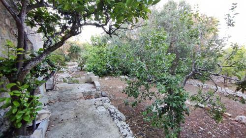 Villa Dorena - Con Vista Mare E Giardino Privato