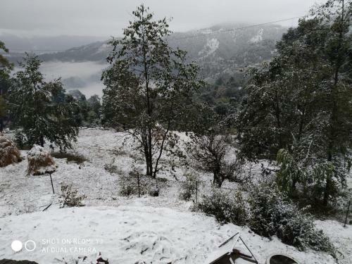 Jfr Studio Apartments Kausani