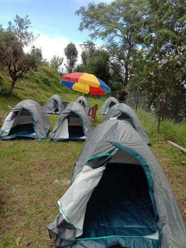 Jfr Studio Apartments Kausani