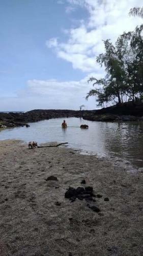 Hostal Hawaiian Paradise Park Vacation Haven Studio