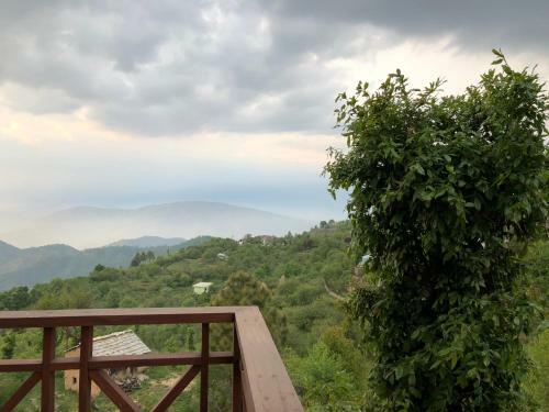 Hostie Chirping Chidiya, 3+1 Bhk Chalet's, Hartola