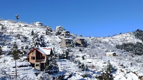 Hostie Chirping Chidiya, 3+1 Bhk Chalet's, Hartola