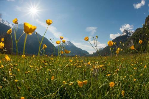 Apartamento Landhaus �tztalblick