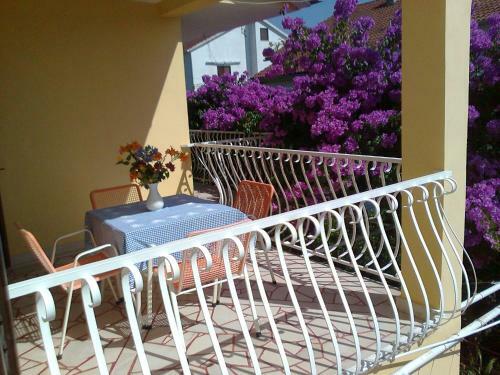 Apartments Runac
