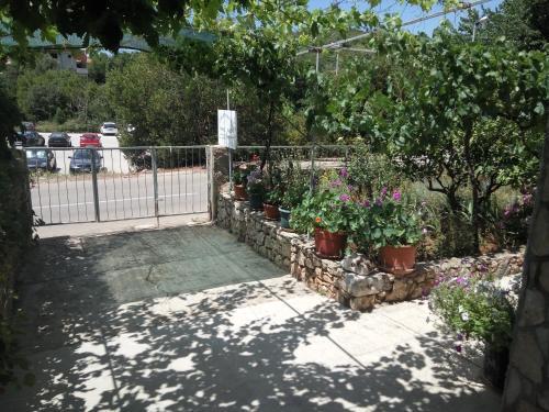 Apartamentos Guesthouse Eljuga Family