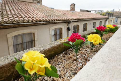 Apartamento Le Mistral - Centre Historique - Cosy