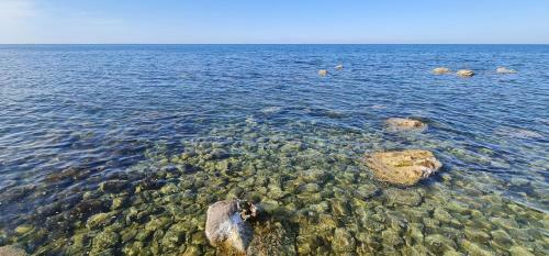 B&B Aria Di Mare