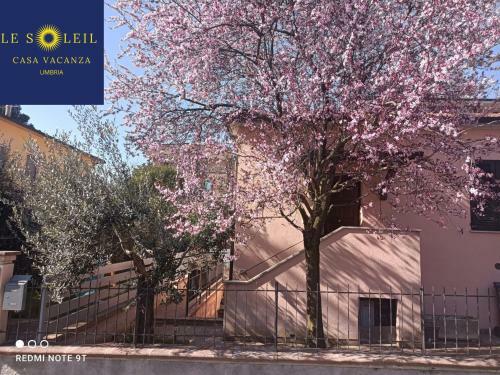 Apartamento Le Sol&il Umbria