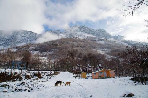 Lodge Kashmir Gypsy Paradise