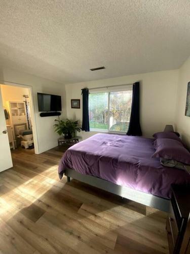 Apartamento Comfy Home