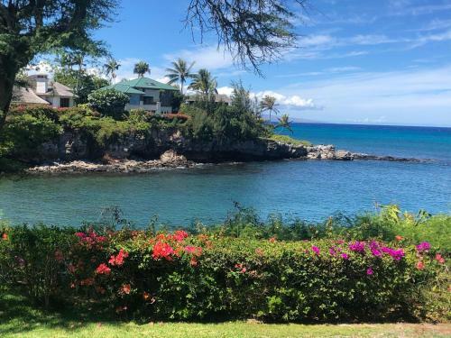 Apartamento Turtle Cove