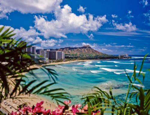 Apartamento 43rd Fl. Studio With Ocean And Diamond Head Views