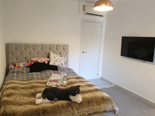 Modern High Spec Three Bedroom Duplex Apartment