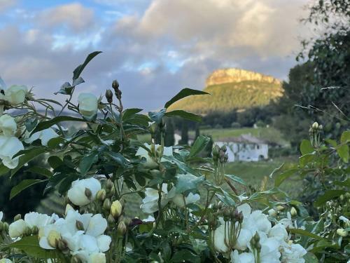 Villa Le Clos De La Tour Cassis